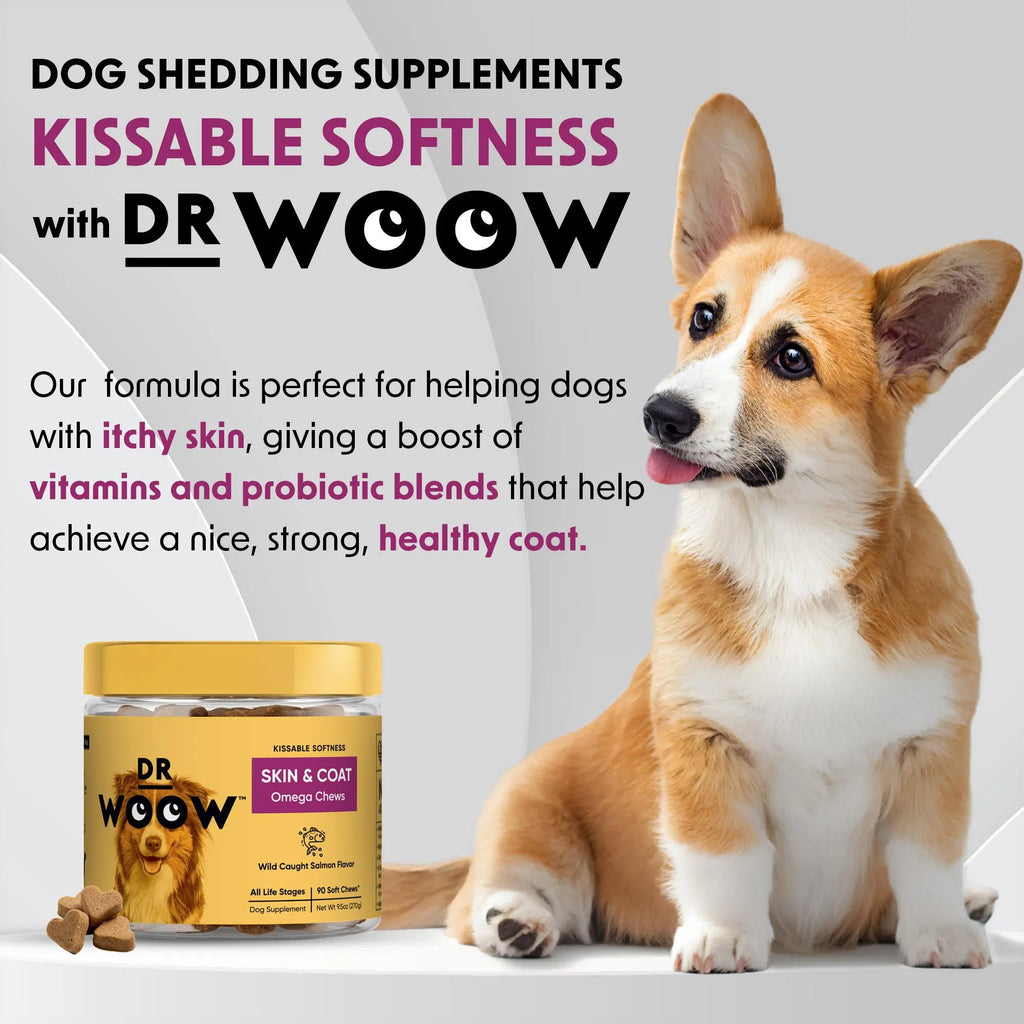 Dr. Woow Premium Salmon Flavor Soft Chews for Dogs - High Protein Treats with Biotin and Vitamins for Shiny Coat and Healthy Skin Support
