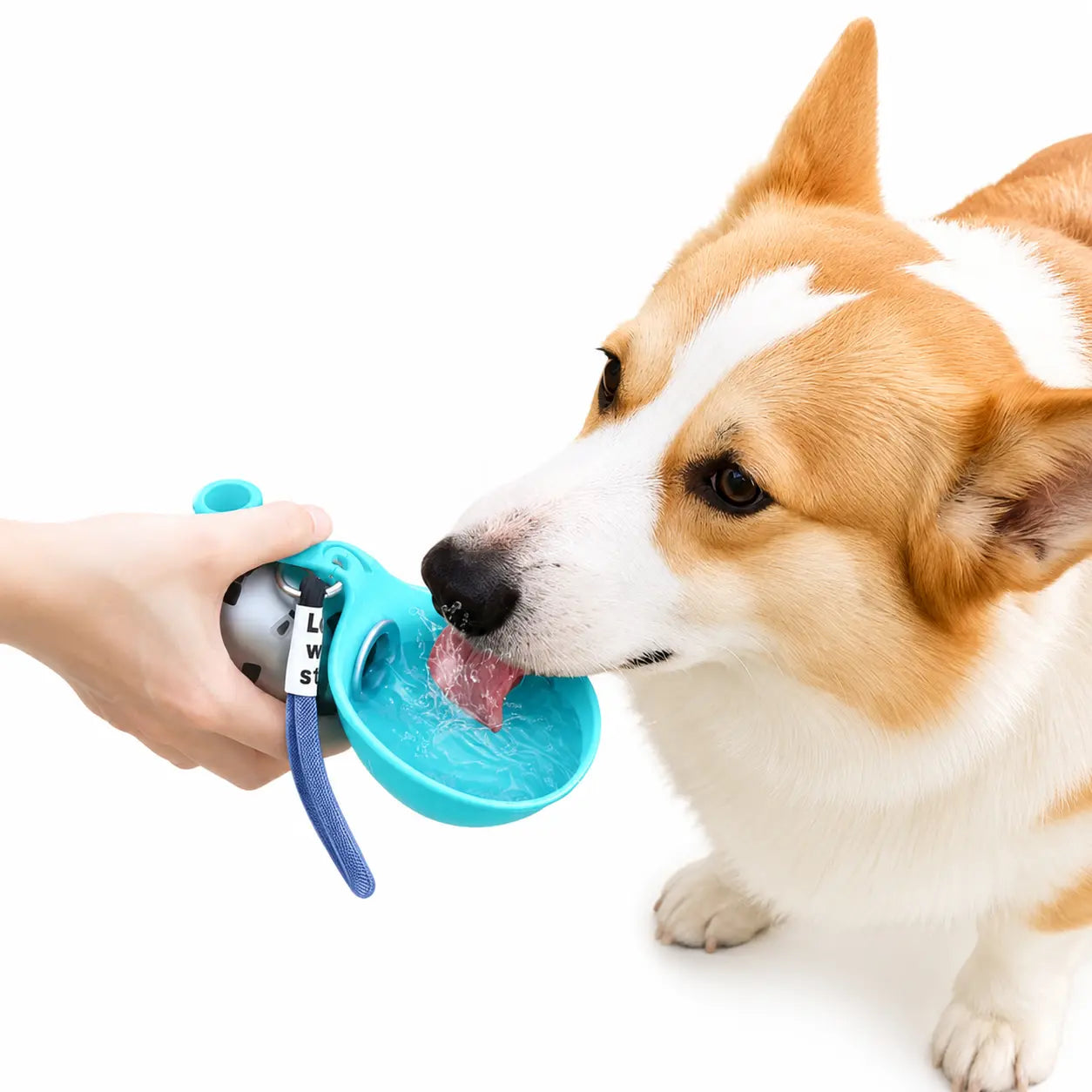 PAWCHUM Premium Portable Dog Water Bottle - Spill-Proof, Mess-Free Hydration Solution for All-Terrain Travel with Easy One-Handed Operation and Leak-Free Design