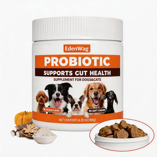 Canine Probiotic Chewables - Nutritional Supplement with Multivitamins and Fructooligosaccharide, Chicken Flavor, 6.35 Oz, 90 Soft Chews for Puppy Intestinal Balance and Daily Wellness