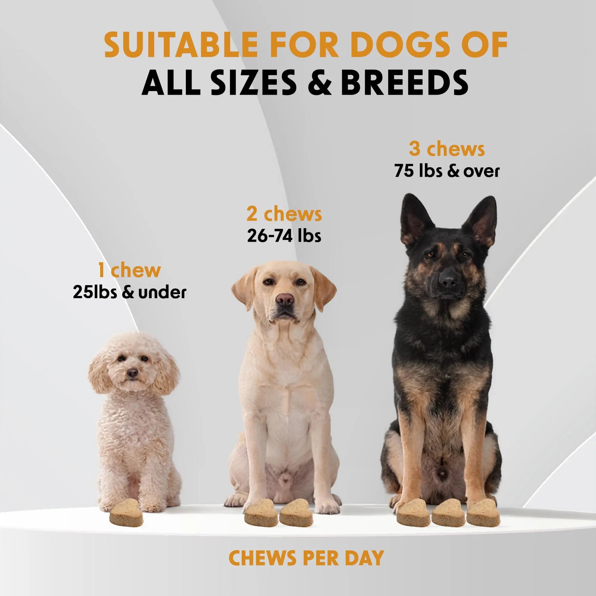 Dr. Woow Premium Salmon Flavor Soft Chews for Dogs - High Protein Treats with Biotin and Vitamins for Shiny Coat and Healthy Skin Support