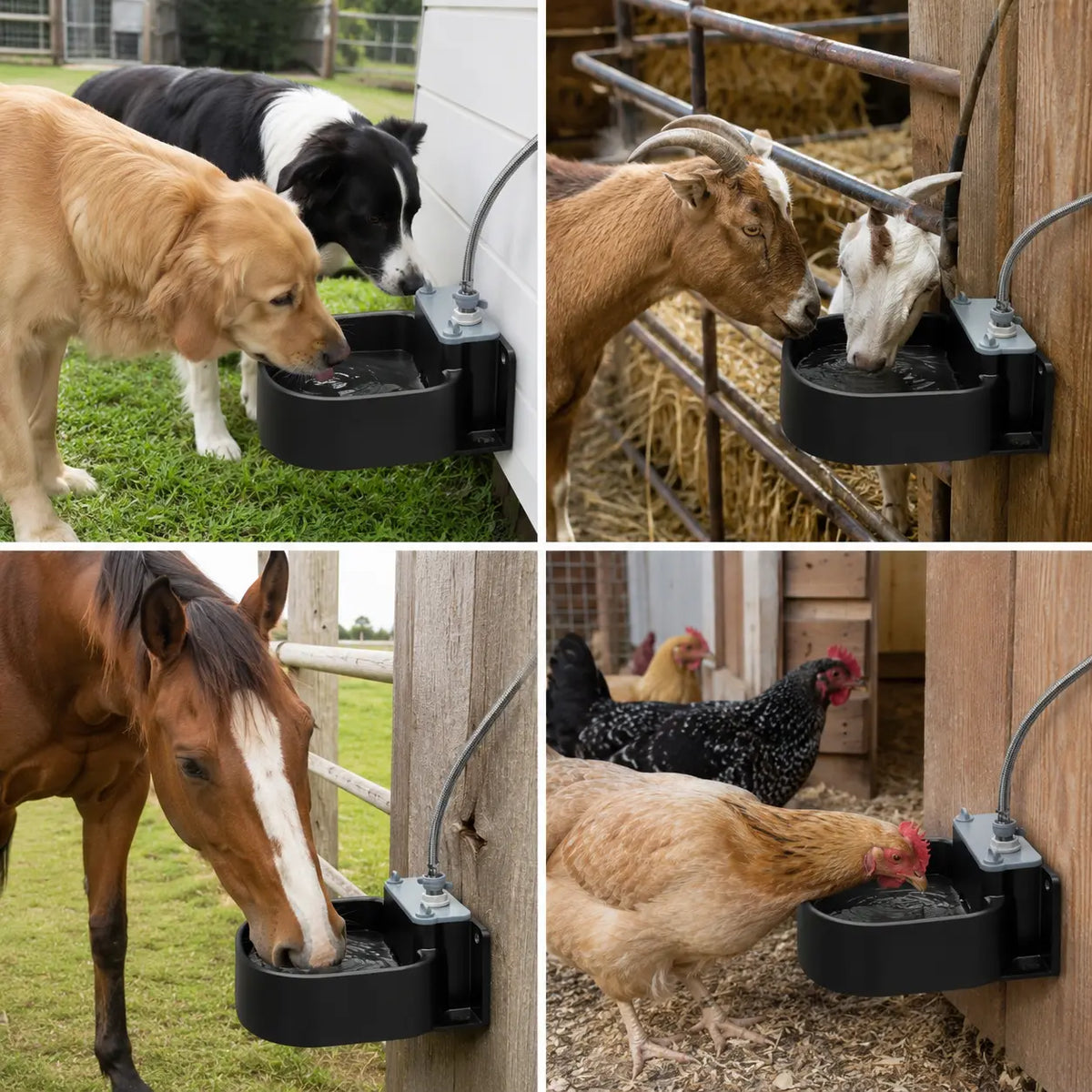 Farmparadise Automatic Animal Water Bowl - Dog Water Dispenser Featuring Float Valve, Filter, Hose & Adapter for Outdoor Livestock Use, Ideal for Goats and Chicken Coops
