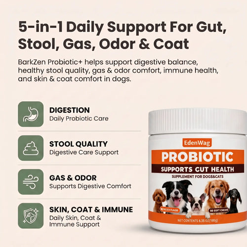 Canine Probiotic Chewables - Nutritional Supplement with Multivitamins and Fructooligosaccharide, Chicken Flavor, 6.35 Oz, 90 Soft Chews for Puppy Intestinal Balance and Daily Wellness