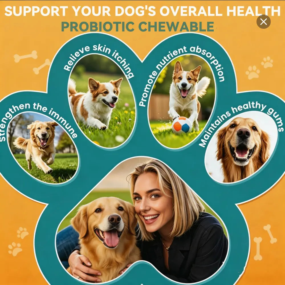 Canine Probiotic Chewables - Nutritional Supplement with Multivitamins and Fructooligosaccharide, Chicken Flavor, 6.35 Oz, 90 Soft Chews for Puppy Intestinal Balance and Daily Wellness