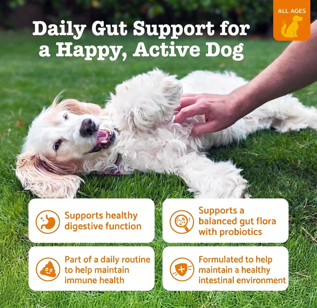 Canine Probiotic Chewables - Nutritional Supplement with Multivitamins and Fructooligosaccharide, Chicken Flavor, 6.35 Oz, 90 Soft Chews for Puppy Intestinal Balance and Daily Wellness