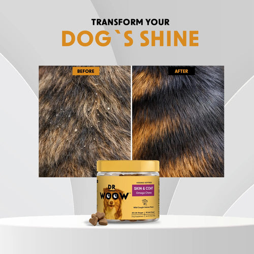 Dr. Woow Premium Salmon Flavor Soft Chews for Dogs - High Protein Treats with Biotin and Vitamins for Shiny Coat and Healthy Skin Support
