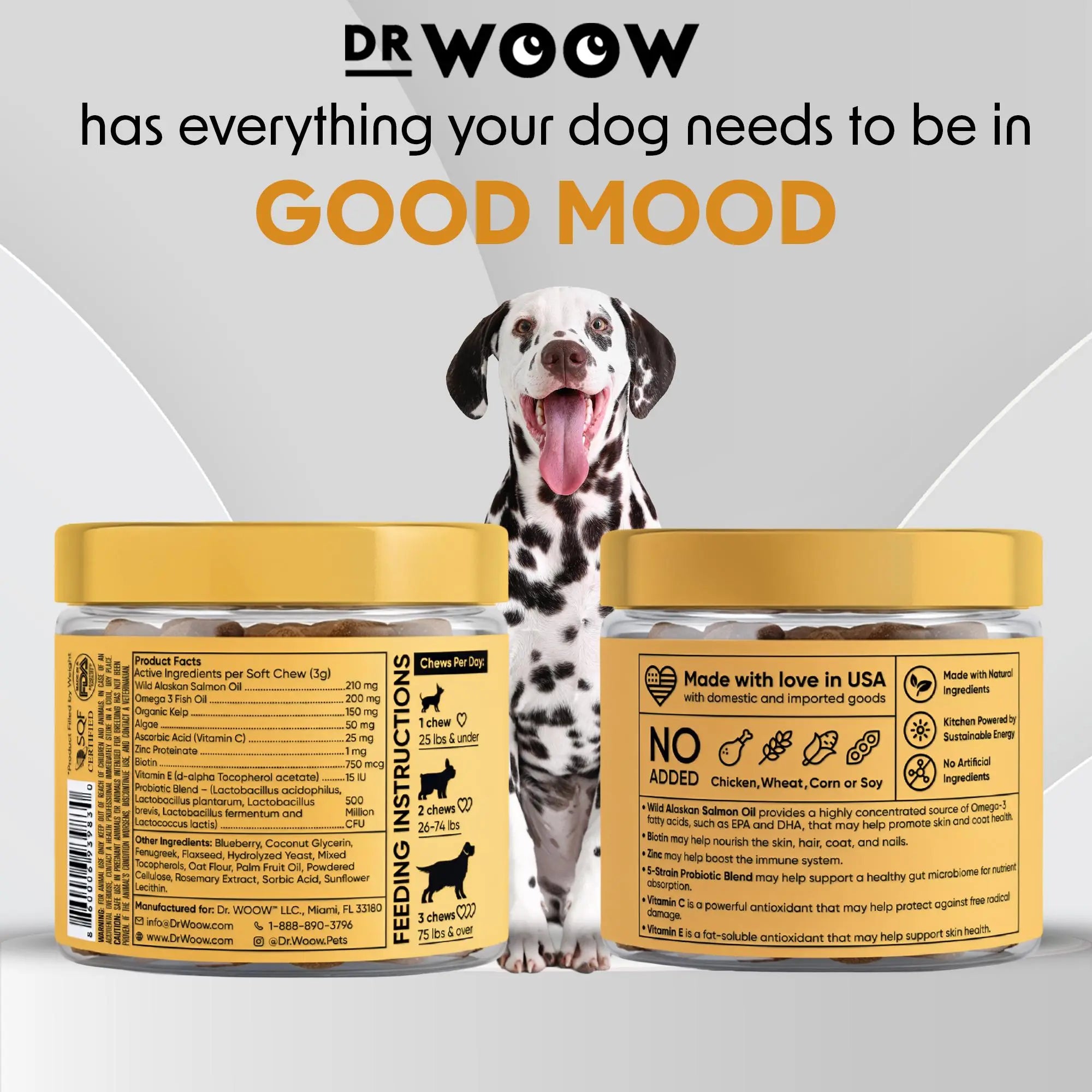 Dr. Woow Premium Salmon Flavor Soft Chews for Dogs - High Protein Treats with Biotin and Vitamins for Shiny Coat and Healthy Skin Support